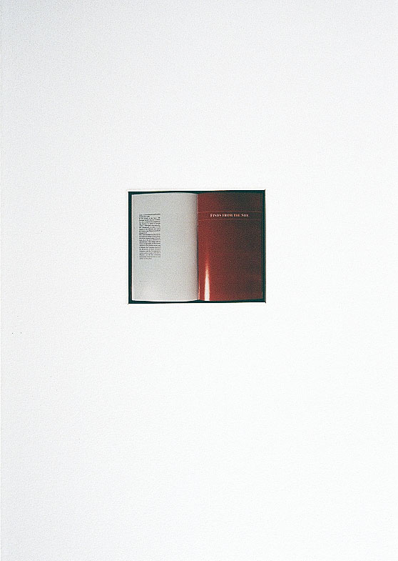 Installation 1 and 2 from (re)Current Allegories 1990