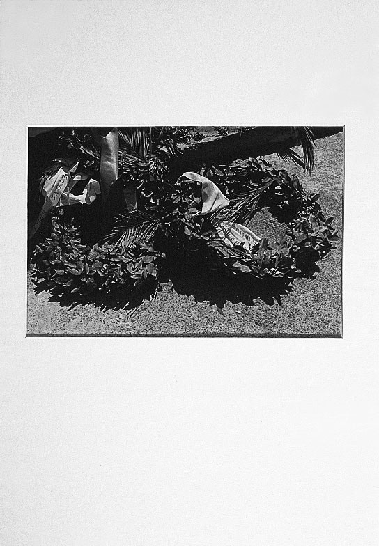 Installation 1 and 2 from (re)Current Allegories 1990
