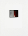 Installation 1 and 2 from (re)Current Allegories 1990