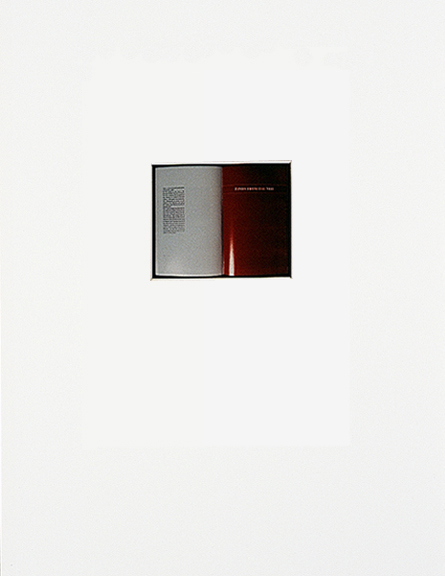 Colour photograph from (re)Current Allegories 1990
